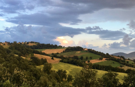 casa-amici-mosaik-01