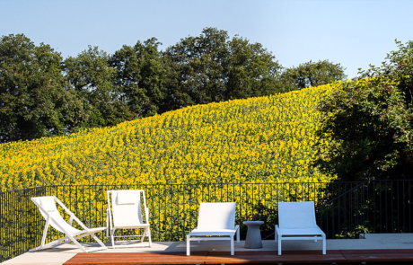 casa-amici-mosaik-06