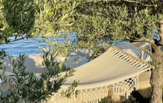 D835008B-1CA5-494B-92DA-59EF497F2B33_1_105_c Hängematte